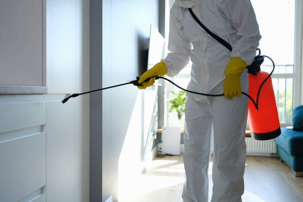 Best Pest Control for Restaurants and Food Service  in Denair, CA